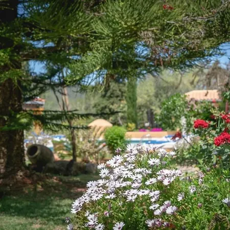 Joan Vich I - 6pax Σπίτι διακοπών Santa Eulària des Riu